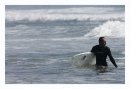 capecodsurfer avatar