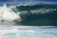 808oahusurfer avatar