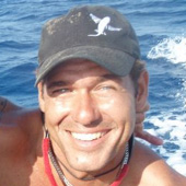 davecohen avatar