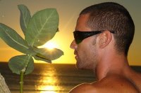 Shade avatar