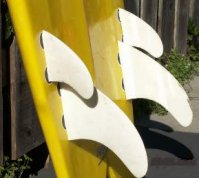 SurfingCal avatar