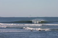 Newport Surfer avatar