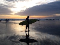 surf2thesun avatar