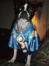 otissurfs avatar
