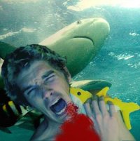 OverTheFalls avatar