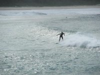 surfingheebijeebi avatar