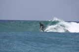 jboe avatar
