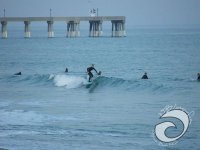 surfaholic avatar