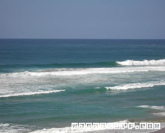 foto de surf