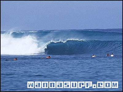 foto de surf