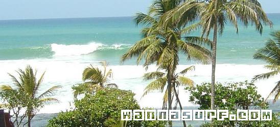 foto de surf