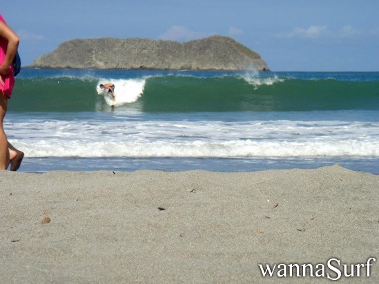 foto de surf