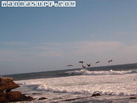 foto de surf