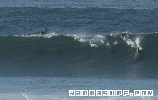 foto de surf