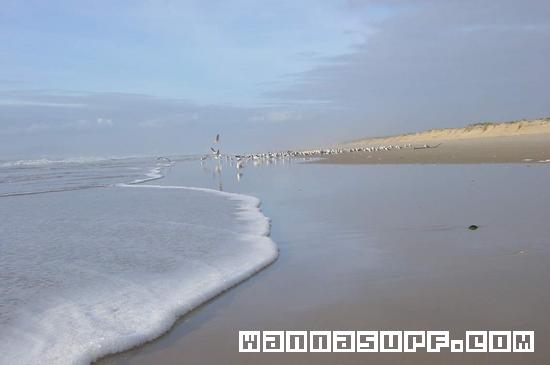 foto de surf