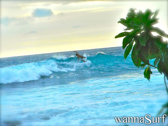 foto de surf