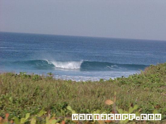 foto de surf