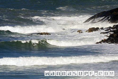 foto de surf