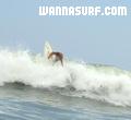 foto de surf