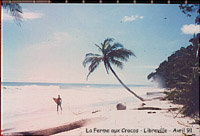 foto de surf
