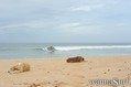 foto de surf