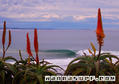 foto de surf