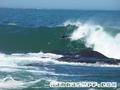 foto de surf