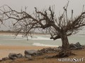 foto de surf