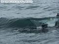 foto de surf