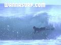 foto de surf