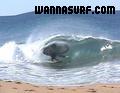 foto de surf