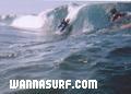 foto de surf