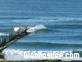 foto de surf