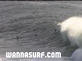 foto de surf