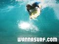 foto de surf