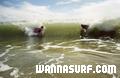 foto de surf