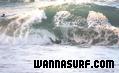 foto de surf