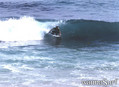 foto de surf