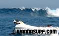 foto de surf