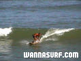 foto de surf