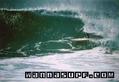 foto de surf