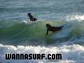 foto de surf