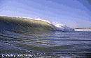 foto de surf