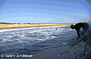 foto de surf