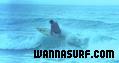foto de surf