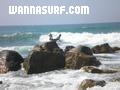 foto de surf