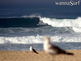 foto de surf