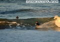 foto de surf