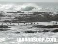 foto de surf