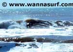 foto de surf
